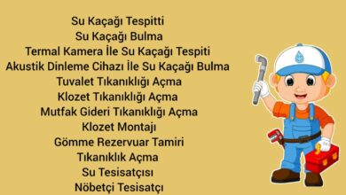 Photo of Avcılar Tuvalet Açma
